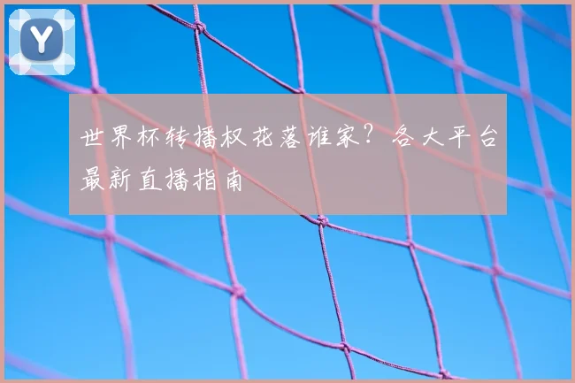 世界杯转播权花落谁家？各大平台最新直播指南